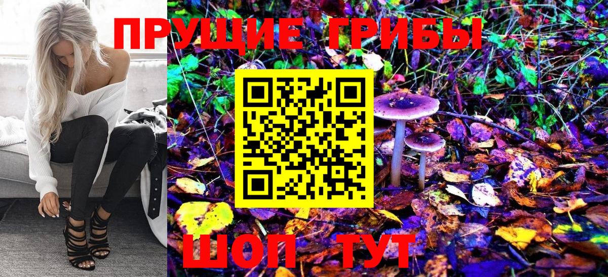Галлюциногенные грибы Psilocybe Йошкар-Ола
