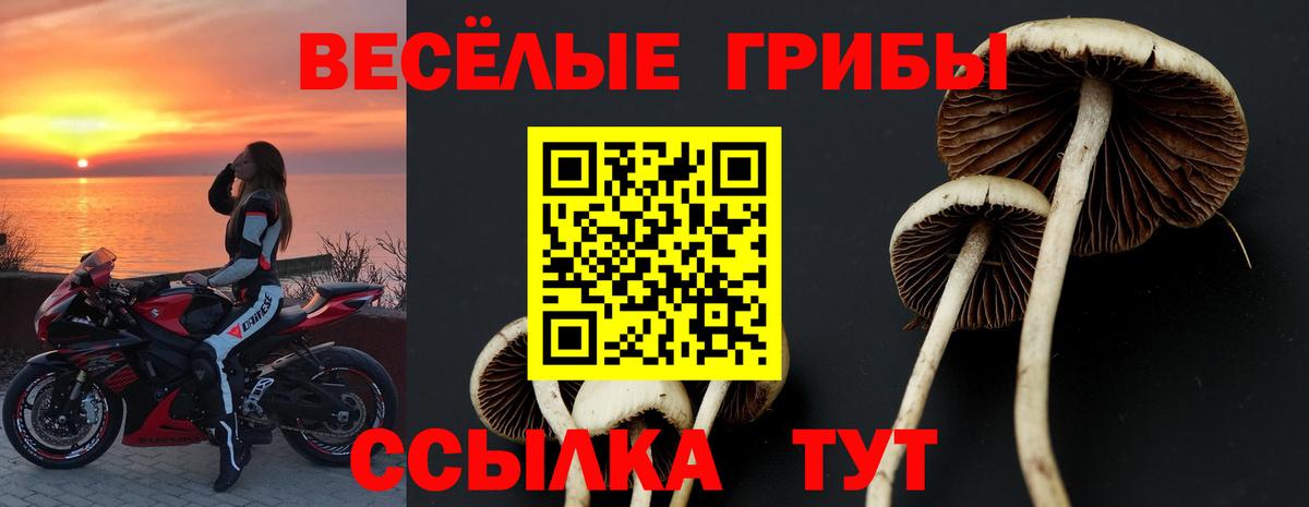 Галлюциногенные грибы Magic Shrooms  Вход с VPN  Йошкар-Ола  Псилоцибиновые грибы Magic Shrooms 